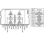 AMPLIFICATOR AUDIO DUAL 12V 5W